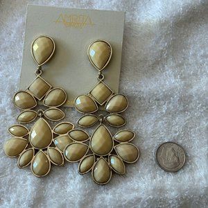 Amrita Singh Earings